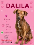 Dalila