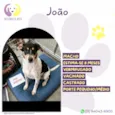 João
