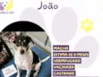 João