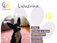 Luluzinha