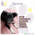 Samira