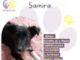 Samira