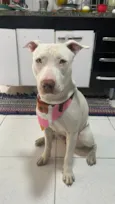 Pandora