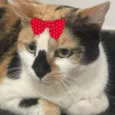 Sabrina 