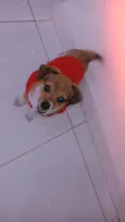 Mel