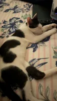 Léo e Lia