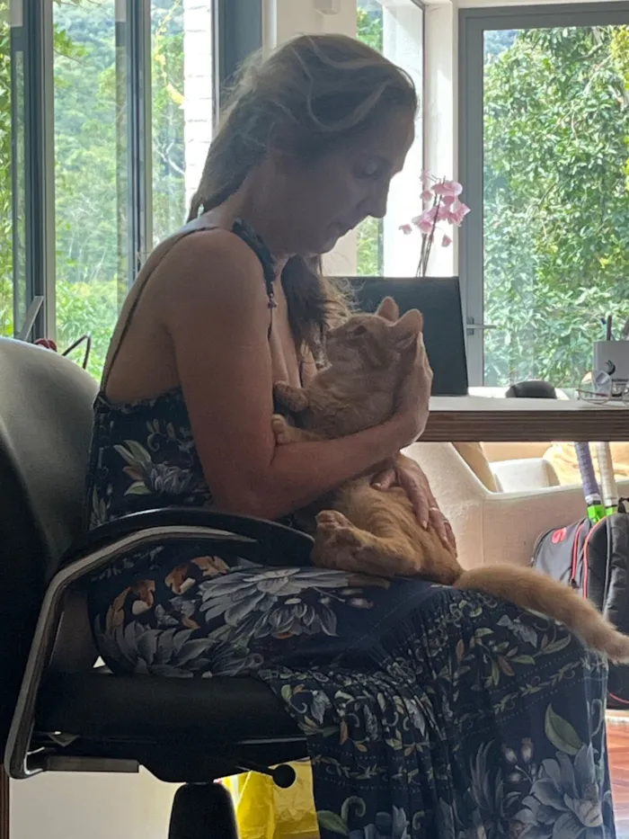 Gato raça SRD-ViraLata idade 2 anos nome Amarelinho 