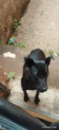 Neguinha