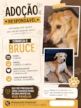 Bruce