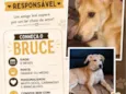 Bruce