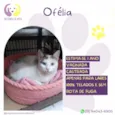 Ofélia