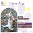 Maria Alice
