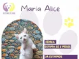 Maria Alice