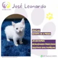 José Leonardo