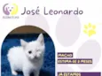 José Leonardo