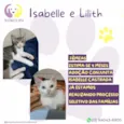 Isabelle e Lilith