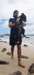 Pretinha