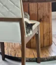 Cleitinho