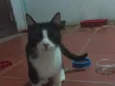 kiki