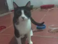 kiki
