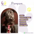 Pompom