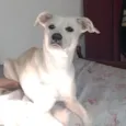 Nalla