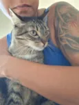 Bella