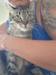 Bella