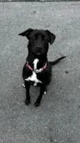Zoe