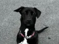 Zoe