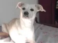Nalla