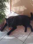 zeus