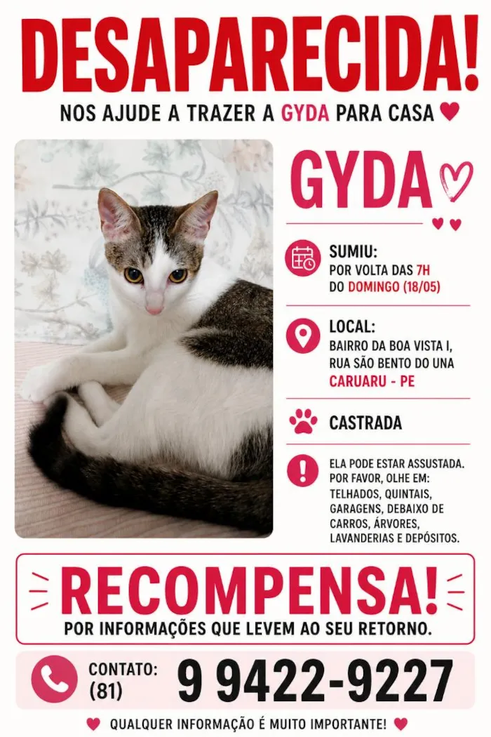 Gato raça SRD-ViraLata idade 1 ano nome Gyda