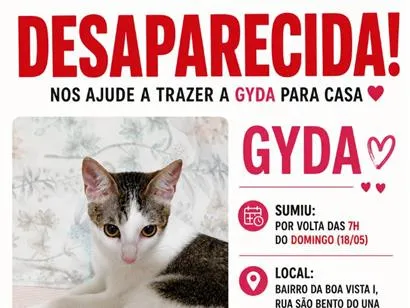 Gato raça SRD-ViraLata idade 1 ano nome Gyda