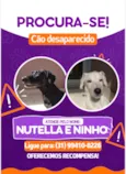 Nutella e Ninho 