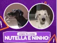 Nutella e Ninho 