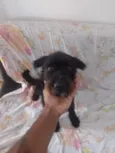 Bob