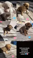 6 filhos
