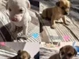 6 filhos