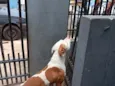 Luck