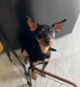 Tony 