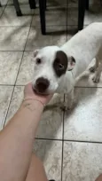 Lucky