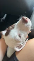 Lucky