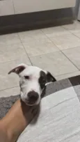 Lucky