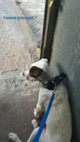 Lucky