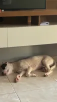 Lucky