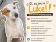 Luke