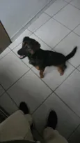 Ralph