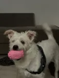 Ubby