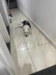 Ubby